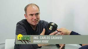 Heladas tempranas en lotes de soja