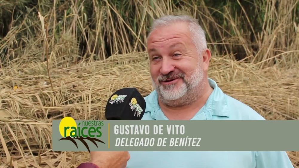 Distintos trabajos en Benitez
