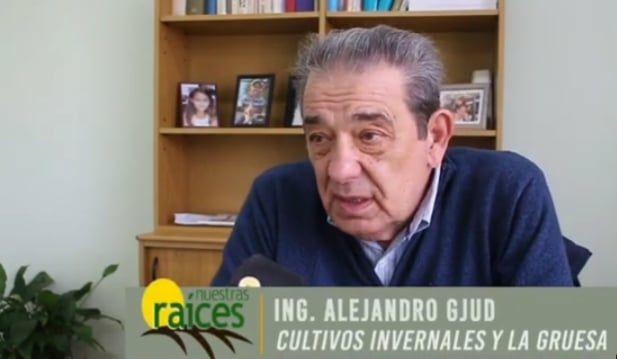 Como vienen los cultivos de invierno?
