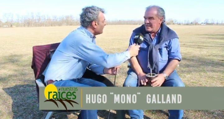 Caballos de polo, de Chivilcoy, al mundo