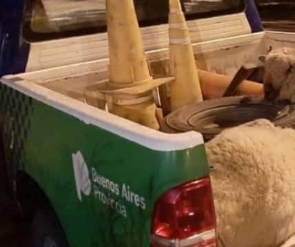 Dos aprehendidos por robarse una oveja