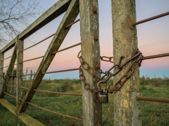 Robaron 80 vacas inseminadas en un campo situado en un campo del partido de Bolívar