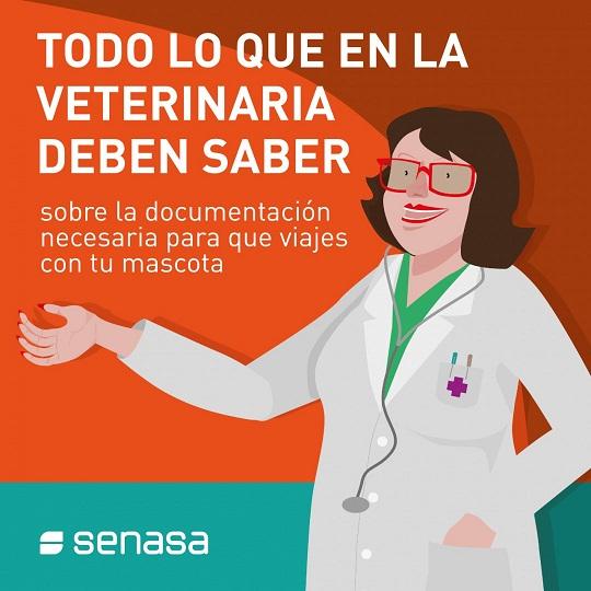 Mascotas: Todo lo que debe saber tu veterinario sobre los requisitos para viajar al exterior