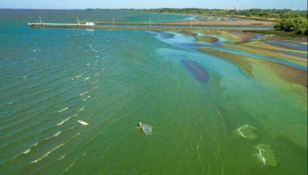 Cianobacterias: Recomiendan no meterse al agua en la Laguna de Gómez