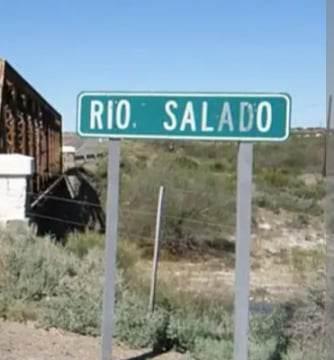 Prohibieron el consumo de un pez del Rio Salado por estar contaminado con niveles récord de agrotóxicos