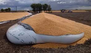 Ataque vandálico en Puán: Dañaron 51 silobolsas con 10 mil toneladas de cereal