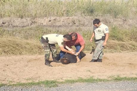 Tenía pedido de detención, huyó, volcó y lo detuvieron