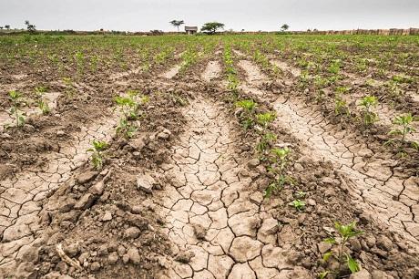 Confirman la extensión de la Emergencia Agropecuaria en Chivilcoy
