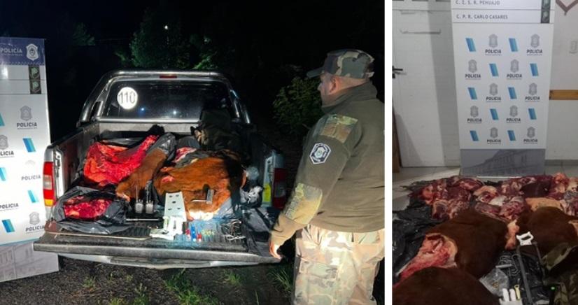 Faenaron un animal y los detuvieron con los cuartos trozados en la camioneta
