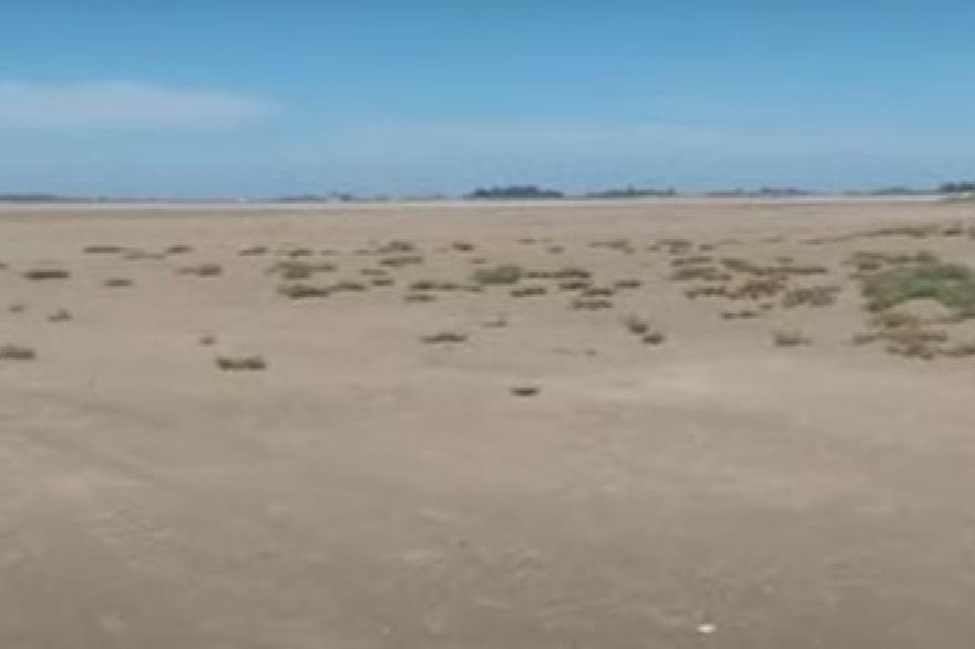 La Laguna de Gómez parece un desierto