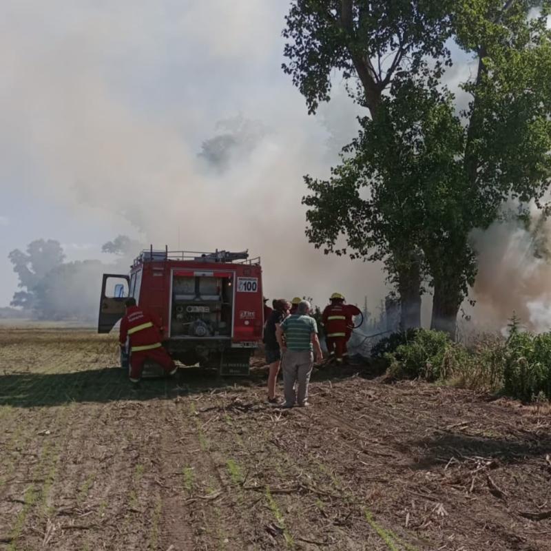 Incendio de campo