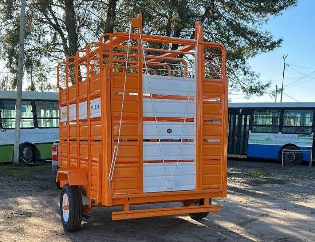 Mercedes pone en marcha la ordenanza que busca terminar con los caballos sueltos