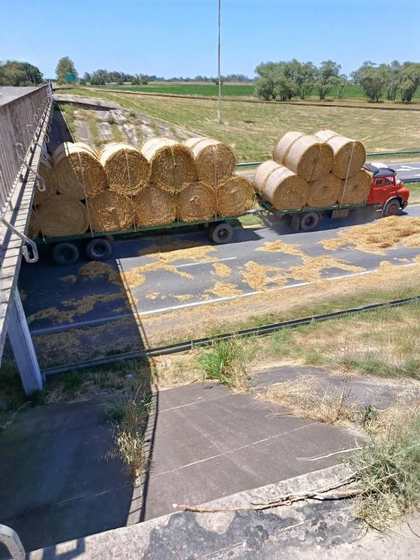 Cuando el GPS dice sí, pero el puente dice no