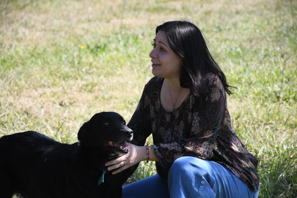 "El Refu": hogar canino municipal impulsa la recuperación integral y la adopción responsable