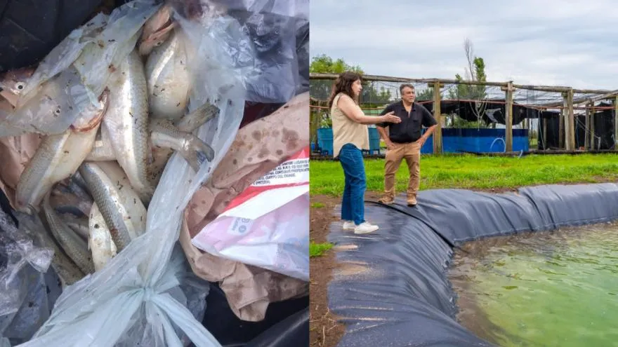 Laguna de Gómez: hallaron pejerreyes en la basura y refuerzan controles
