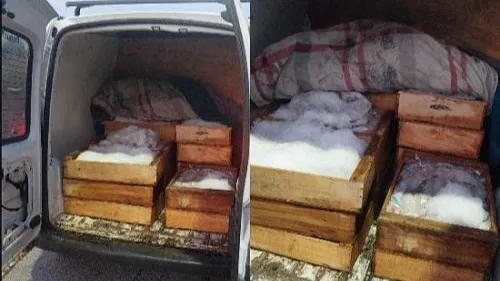 DETECTAN DOS VEHÍCULOS CIRCULANDO CON ANIMALES Y MERCADERÍA DE MANERA IRREGULAR