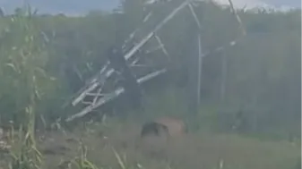 Robaron en un campo en un camino de Chacabuco a Chivilcoy