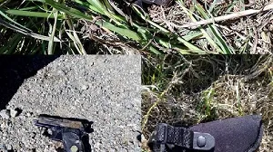 Los sujetos interceptados en la ruta, descartaron tres armas